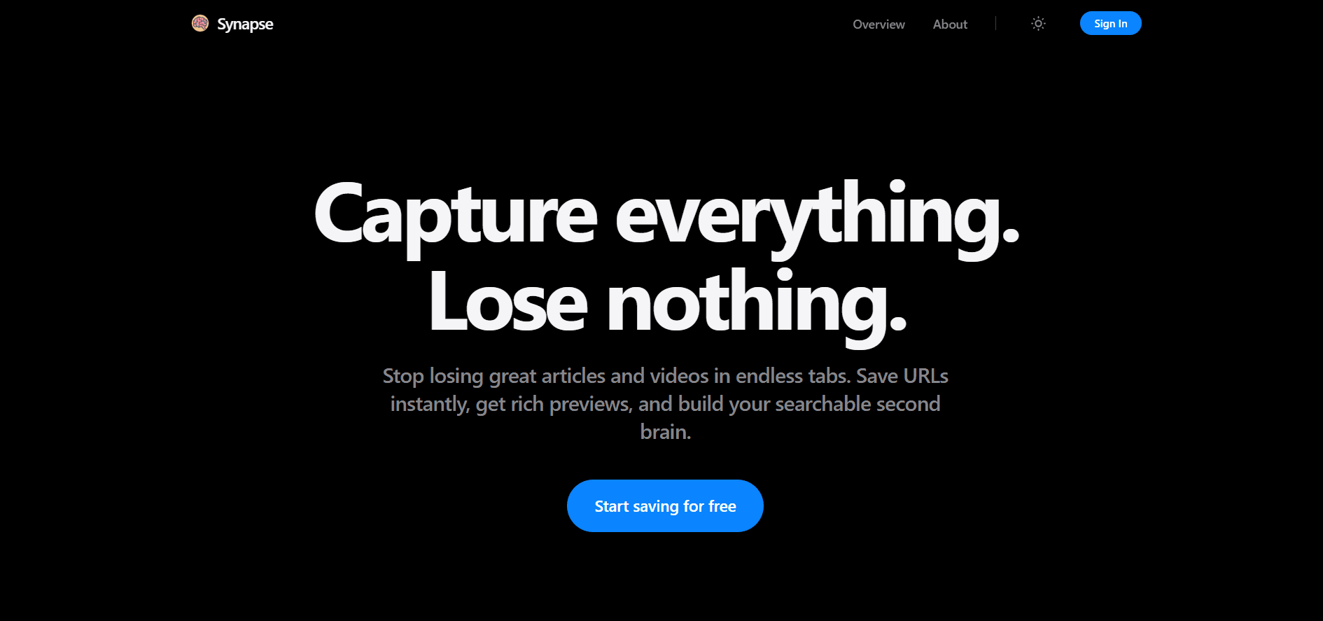 Synapse project preview